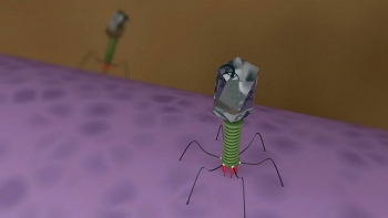 Researchers studied molecular data on phages to discover how the viruses affect environmentally important bacteria in nature. Researchers studied molecular data on phages to discover how the viruses affect environmentally important bacteria in nature.