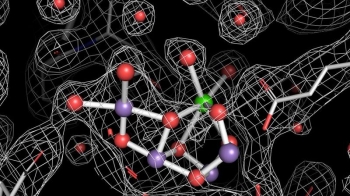 New pictures of Photosystem II show different ways the protein complex shifts and stretches as it splits water. This image shows the water-oxidizing complex in the last stable state before the water splits. New pictures of Photosystem II show different ways the protein complex shifts and stretches as it splits water. This image shows the water-oxidizing complex in the last stable state before the water splits.