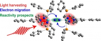 The drawing shows the prospective activation of a nitrogen molecule (blue spheres) held in the middle of the catalyst. Light is harvested (red) and electrons migrate (blue arrows) to ultimately make the nitrogen receptive to bonding with hydrogen. The drawing shows the prospective activation of a nitrogen molecule (blue spheres) held in the middle of the catalyst. Light is harvested (red) and electrons migrate (blue arrows) to ultimately make the nitrogen receptive to bonding with hydrogen.