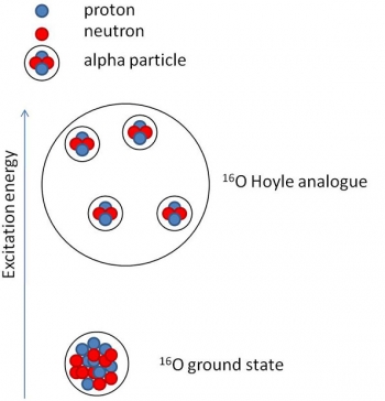 Pictorial representation of the ground state of oxygen-16 (16O) and the Hoyle-like state. Pictorial representation of the ground state of oxygen-16 (16O) and the Hoyle-like state.