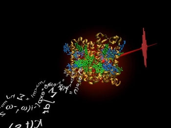 Scientists study coherence in the ultrafast collective motions of atoms in molecules. Why? Research suggests function can be enhanced by coherence. Scientists study coherence in the ultrafast collective motions of atoms in molecules. Why? Research suggests function can be enhanced by coherence.