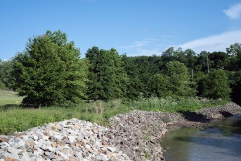 Riparian habitat will be expanded along Chartiers Creek at the Canonsburg, Pennsylvania Disposal Site.