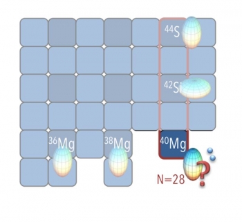 Magnesium-40 (40Mg) sits at the intersection of the magnesium isotopes and the chain of nuclei with 28 neutrons. A recent measurement of gamma-ray transitions in 40Mg shows something beyond what theory expected. Magnesium-40 (40Mg) sits at the intersection of the magnesium isotopes and the chain of nuclei with 28 neutrons. A recent measurement of gamma-ray transitions in 40Mg shows something beyond what theory expected.