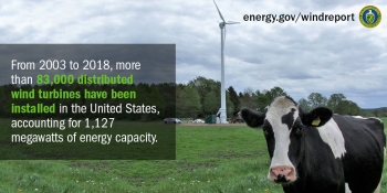 A cow stares towards the direction of the viewer in front of a small wind turbine.