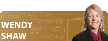 Shawâs 2010 Early Career Award has supported her work to improve fuel cell catalyst efficiency by mimicking biological features of enzymes.