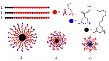 The position of a charged monomer (blue dots) along a polymer chain impacts the final structures (structures 1, 3, and 5 from the sequence library) following assembly into micelles (bottom). The position of a charged monomer (blue dots) along a polymer chain impacts the final structures (structures 1, 3, and 5 from the sequence library) following assembly into micelles (bottom).