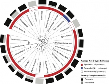 Specialization for inorganic nitrogen metabolism. The outer ring shows a substantial fraction of incomplete pathways were found in genomes from each phylum. For most phyla, the average number of pathways per genome was about 1.9. Specialization for inorganic nitrogen metabolism. The outer ring shows a substantial fraction of incomplete pathways were found in genomes from each phylum. For most phyla, the average number of pathways per genome was about 1.9.