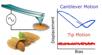 A breakthrough technique for overcoming instrument-based crosstalk in nanoscale measurements eliminates artifacts that lead to errors in biomaterials. A breakthrough technique for overcoming instrument-based crosstalk in nanoscale measurements eliminates artifacts that lead to errors in biomaterials.