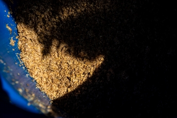 a barell of spent grain