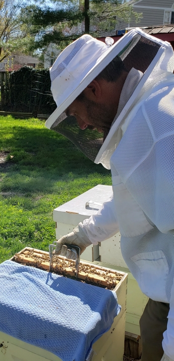 Randy Weidman tends to his bees.
