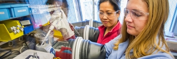 Scientists at LBNL on the bench Scientists at LBNL on the bench