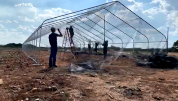 Humans construct an open-air flight cage outdoors.