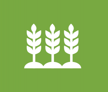Green spherical icon of biomass plants growing in a row.