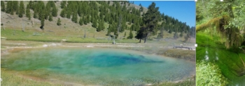 Microbial communities in Yellowstone National Park (left) and Olympic National Park (right). Microbial communities in Yellowstone National Park (left) and Olympic National Park (right).