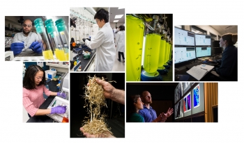 Collage of images depicting a variety of workers in the bioenergy industry: lab workers, equipment, etc.