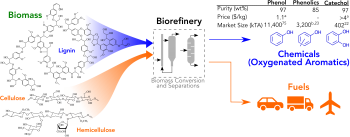 Example of an integrated biorefinery that produces fuels and chemicals, in which phenols and diols products take advantage of the structure of biomass (lignin). The inset table shows the market price of $1.10/kg for high-purity phenol in 2017 dollars.