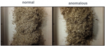 Examples of ânormalâ vs âanomalousâ corn stover. Images were processed with models that identified characteristics such as stringiness in the anomalous material, which correlate with downstream process issues. Credit: NREL