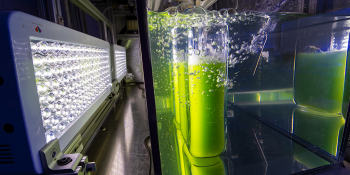 Biofuels.