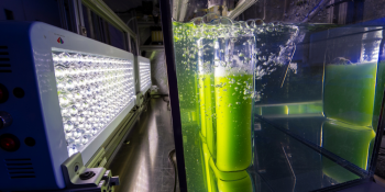 BOOSTING BIOFUEL PRODUCTION