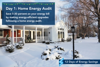 Day 1: Get a Home Energy Audit