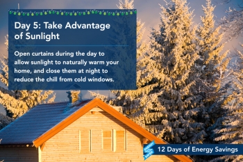 Day 5: Take Advantage of Sunlight
