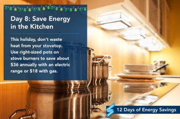 Day 8: Save Energy in the Kitchen