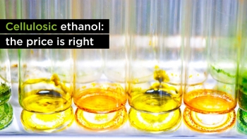 Cellulosic Ethanol: The Price is Right