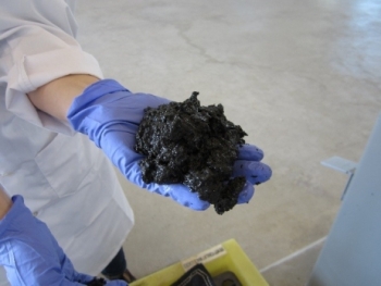 Sludge from Metro Vancouverâs wastewater treatment plant Sludge from a wastewater treatment plant