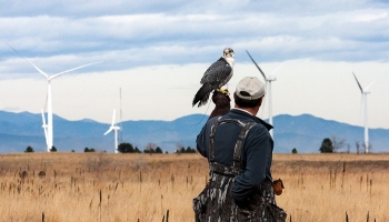 Environmental Impacts and Siting of Wind Projects ...