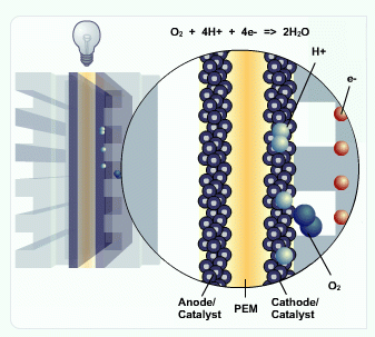 Four protons moving through cathode and electrons coming down flow plate. Protons and electrons combining with two oxygen molecules to form water.
