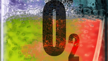 pnnl-calendar-010515-headliner.jpg Funded by the Department of Energy's Office of Science, scientists are devising ways to blunt reactive oxygen atoms' impact on producing biofuels.