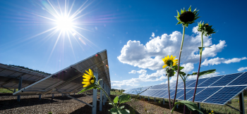 MAKING SOLAR MORE AFFORDABLE THAN EVER