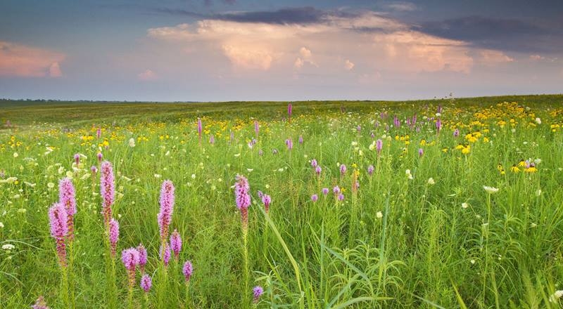 Researchers at the U.S. Department of Energyâ€™s Pacific Northwest National Laboratory and Kansas State University found that soil drying significantly affected the structure and function of soil microbial communities.