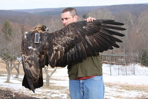 environmental science and protection technicians