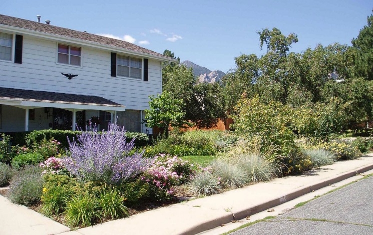 Landscaping Water Conservation Department Of Energy Landscaping Water Conservation