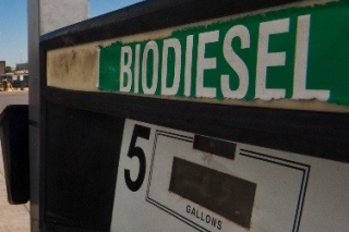 biodiesel.jpg