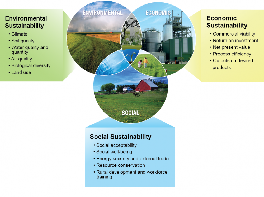 Environmental economics phd thesis