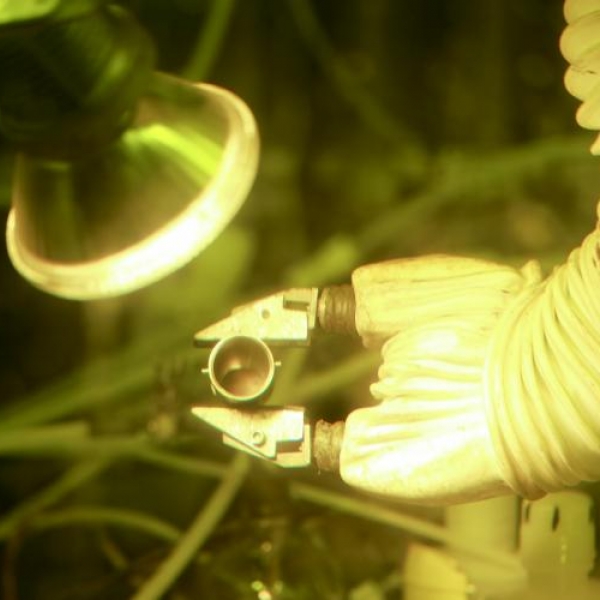 What Stranger Things Didn T Get Quite So Right About The Energy