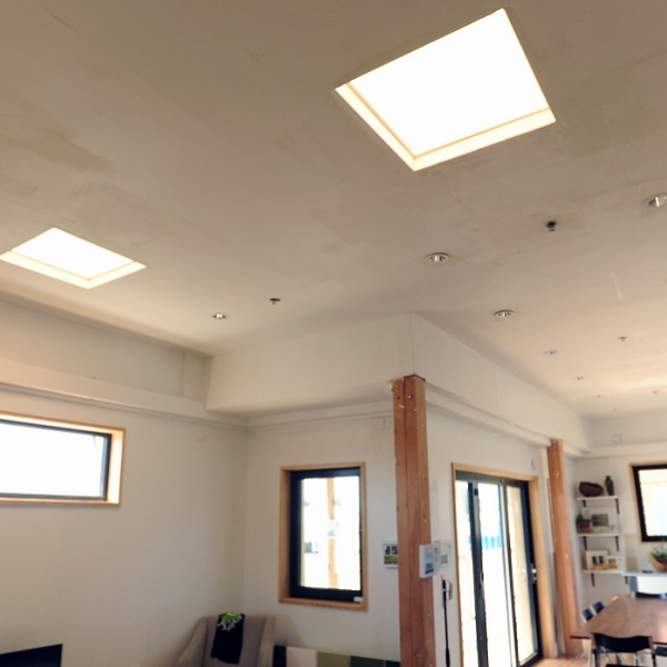 Windows Doors And Skylights Department Of Energy