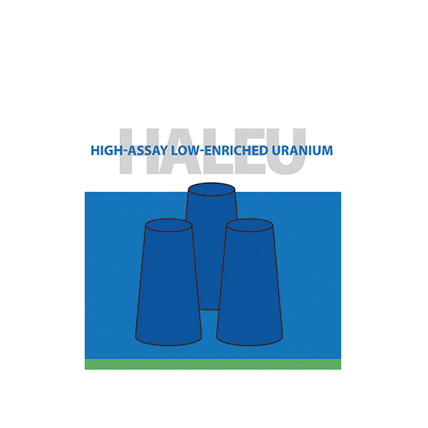 What is HighAssay LowEnriched Uranium (HALEU)? Department of Energy