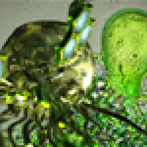 Behind the Scenes: How Fungi Make Nutrients Available to the World