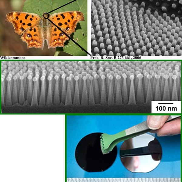 Artificial Moth Eyes Enhance Silicon Solar Cells | Department of Energy
