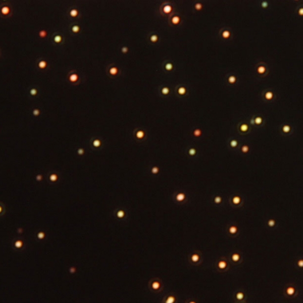 Quickly Capture Tiny Particles Reacting | Department of Energy