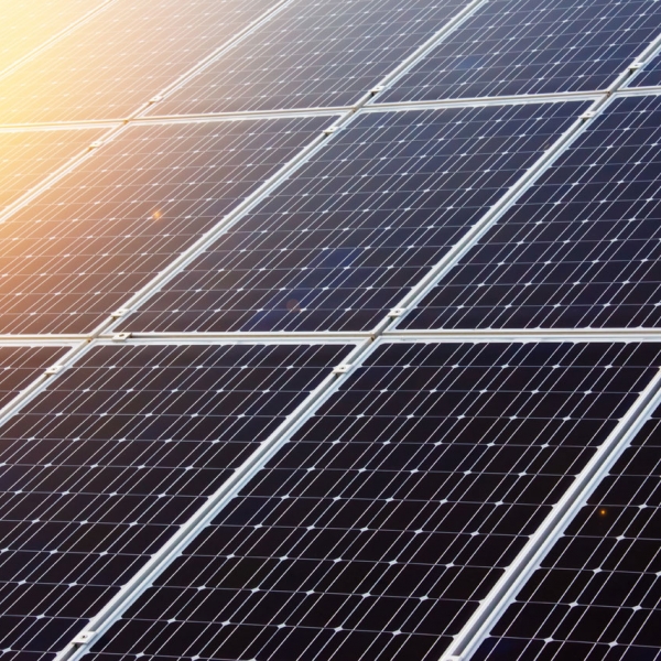 What Solar Panels Are Made Of And How Do They Work In 2020 Solar Solar Power Energy Solar Panels
