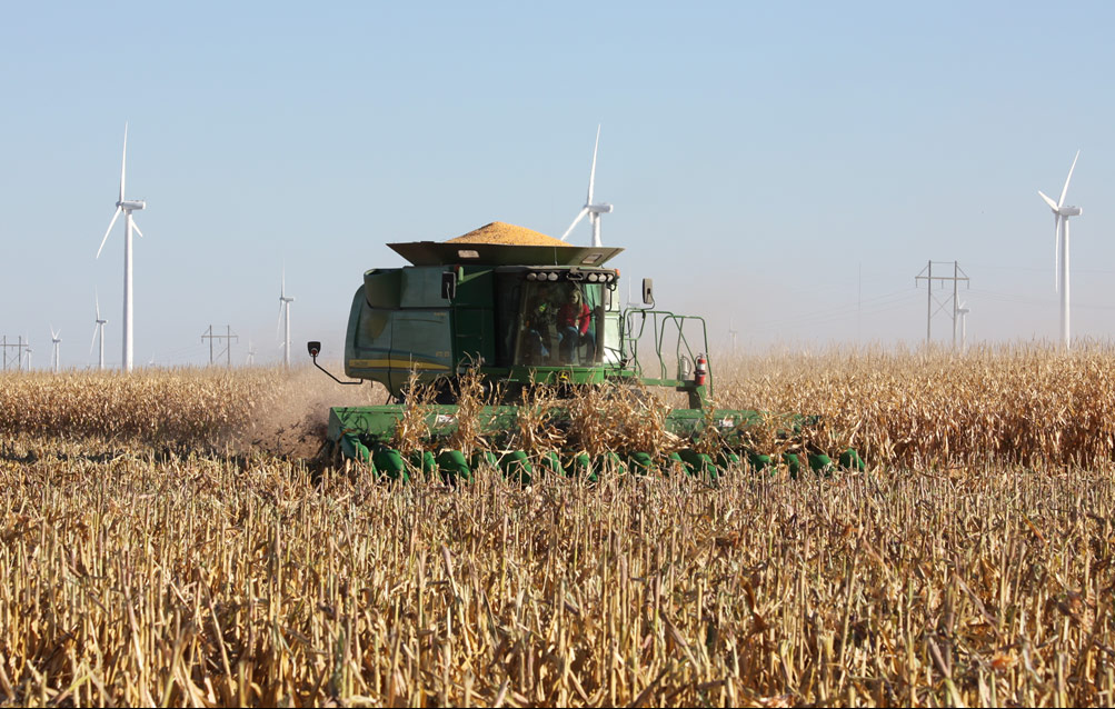 Photo of a green combine machine harvesting a corn field. A blue sky and three wind turbines are in the background.